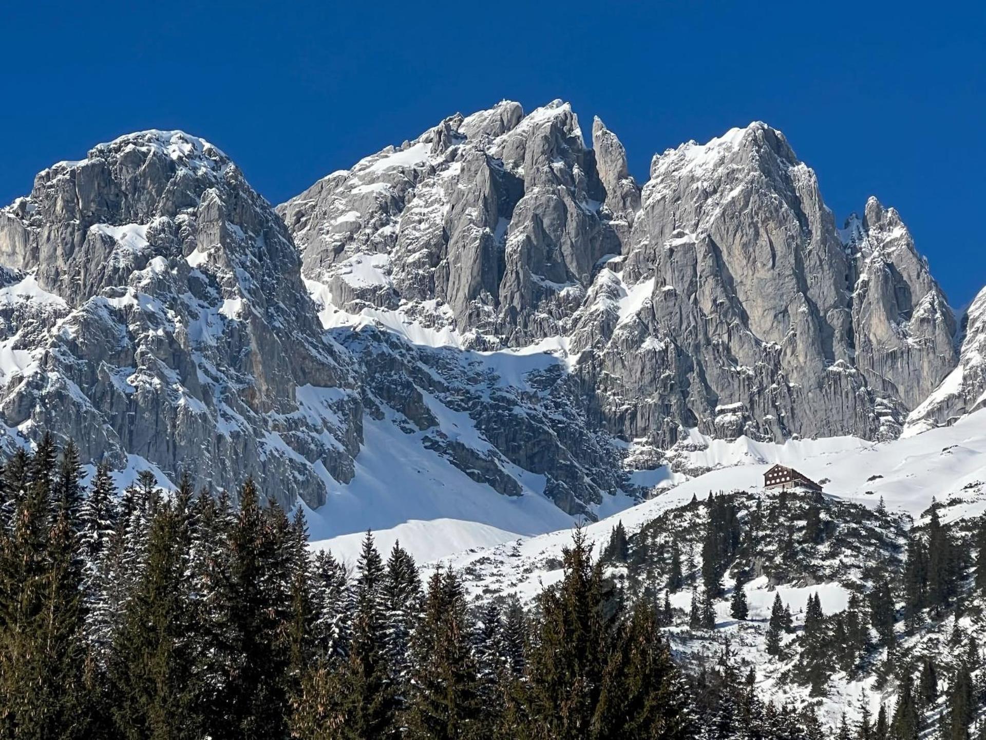 Going am Wilden Kaiser Geniessen Sie Bergblick & Sauna Im Modernen Chalet מראה חיצוני תמונה