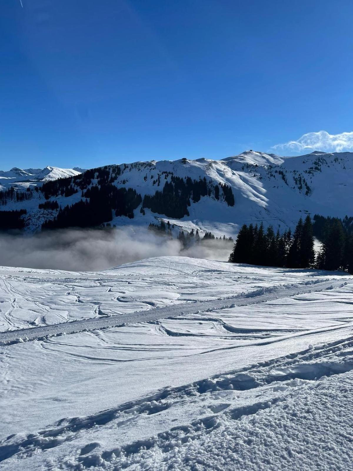 Going am Wilden Kaiser Geniessen Sie Bergblick & Sauna Im Modernen Chalet מראה חיצוני תמונה
